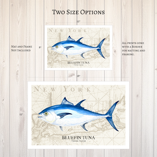Bluefin Tuna Watercolor Print Art Over Vintage Long Island Map – Nautical Coastal Wall Art, Fishermen Angler Gift, NY Beach House Décor