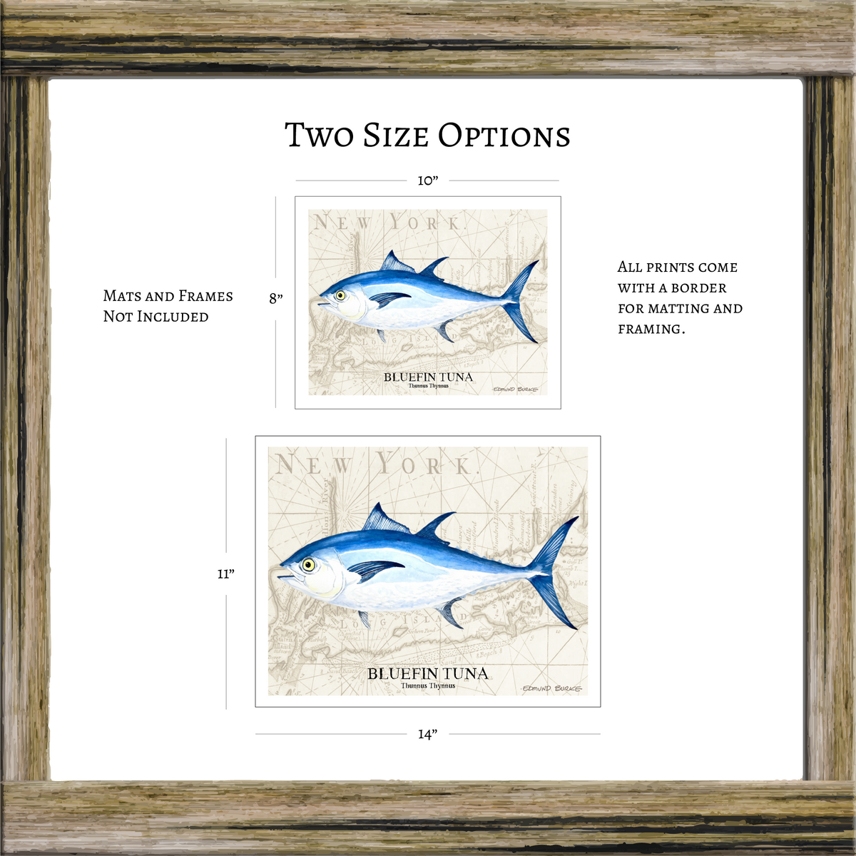 Bluefin Tuna Watercolor Print Art Over Vintage Long Island Map – Nautical Coastal Wall Art, Fishermen Angler Gift, NY Beach House Décor