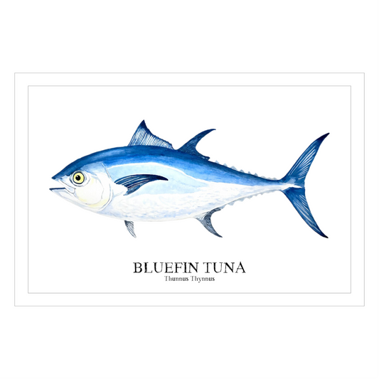 Bluefin Tuna Watercolor Print: Coastal Nautical Wall Art