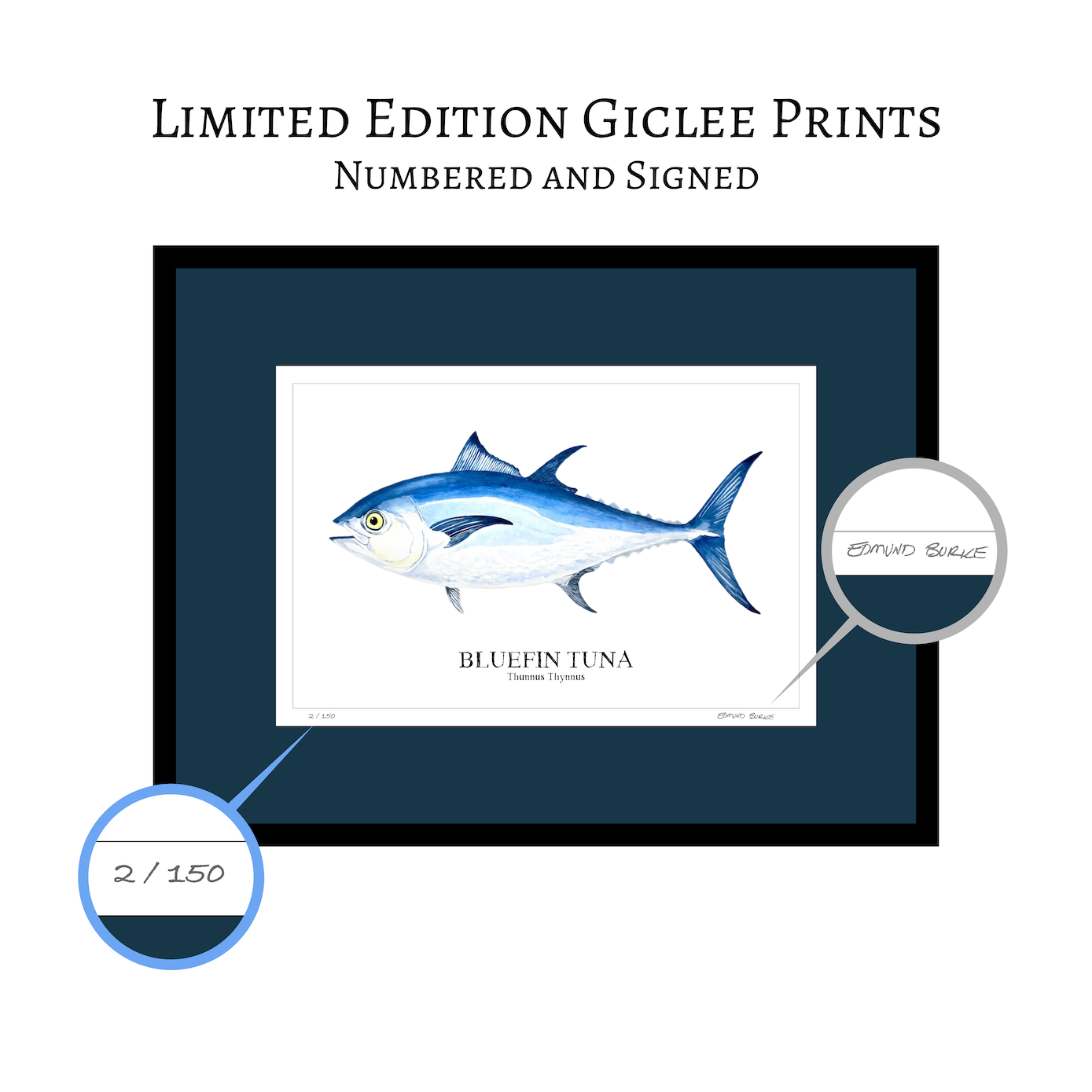 Bluefin Tuna Watercolor Print: Coastal Nautical Wall Art