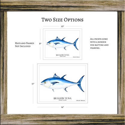 Bluefin Tuna Watercolor Print: Coastal Nautical Wall Art