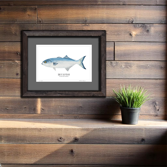 Bluefish Watercolor Print: Coastal Nautical Wall Art
