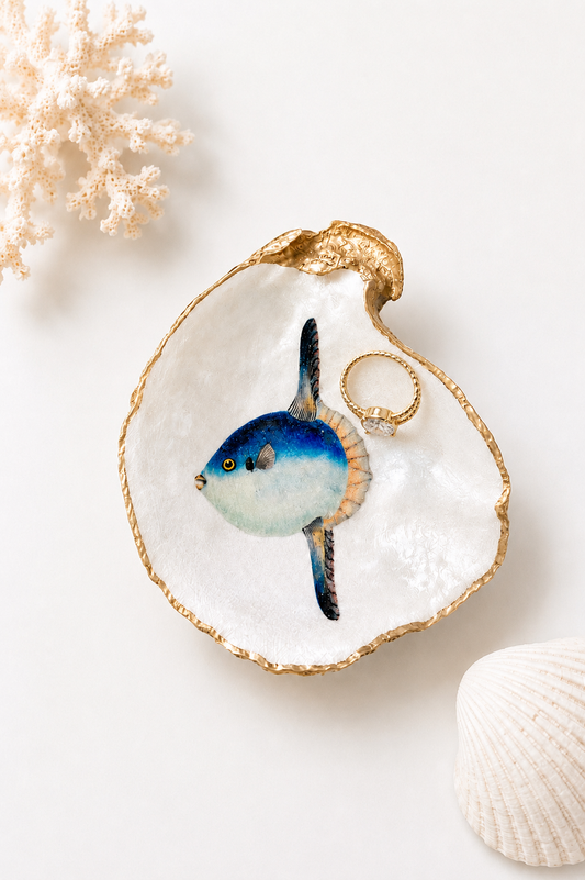 Decoupage Oyster Shell Sunfish Art