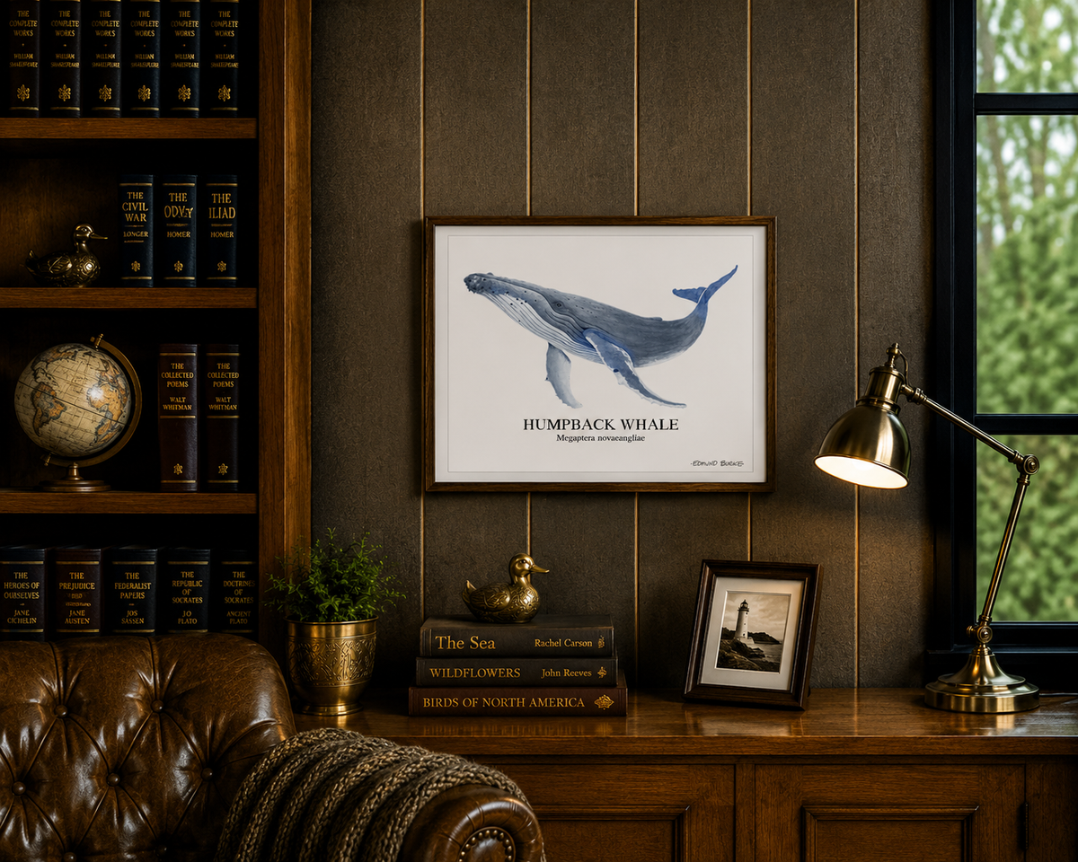 Humpback Whale Original Watercolor Print, Nautical Coastal Wall Art, Whale Lover Gift, Beach House Décor, Whale Painting, Ocean Wildlife Art