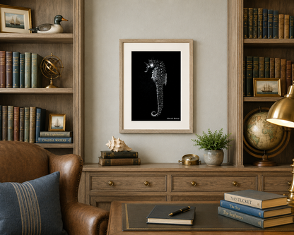Vintage Seahorse Art Print – White Seahorse on Black – Nautical Illustration – Coastal & Modern Wall Art