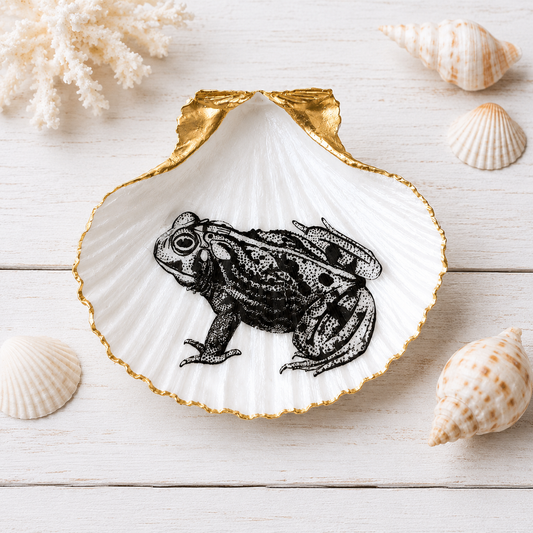 Frog Scallop Shell Trinket Dish, Frog Lover Gift, Gold Rim Ring Dish, Nature-Inspired Jewelry Holder, Cottagecore Coastal Decor
