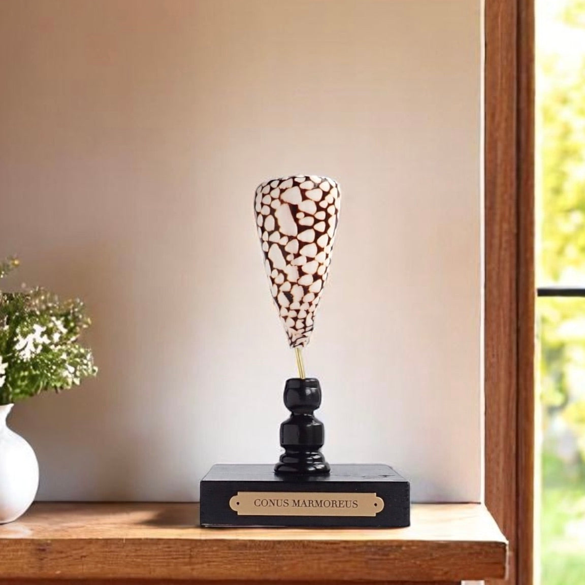 Mounted Shell Sculpture, Sea Shell on Stand, Tropical Shell Display, Elegant Coastal Decor, Beach House Gift, Nautical Marine Home Accent