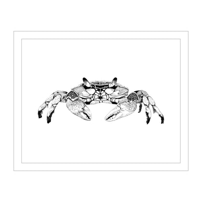 Maryland Blue Crab Art Print from Original Pen & Ink Drawing, Coastal Beach Art, Seaside Nautical Wall Hanging Decor