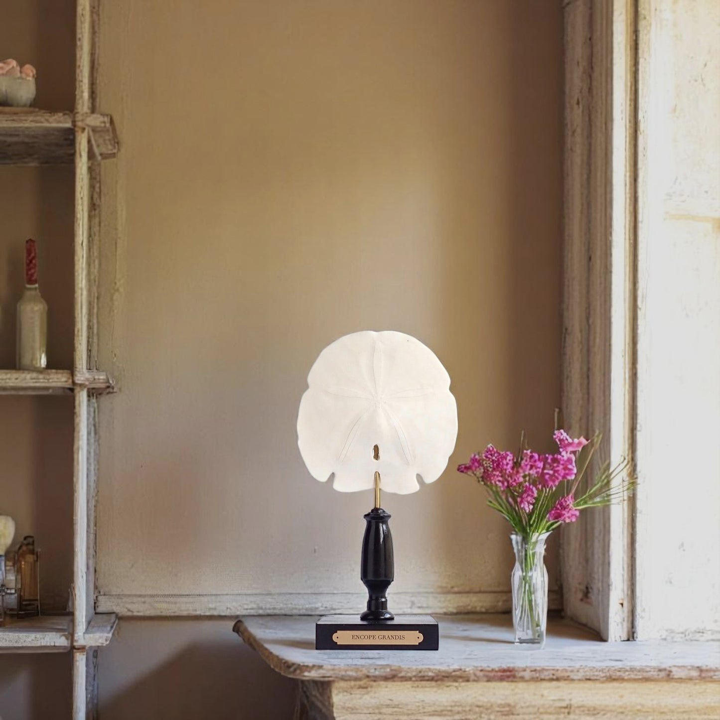 Mounted Shell Sculpture, Sand Dollar on Stand, Tropical Shell Display, Elegant Coastal Decor, Beach House Gift, Nautical Marine Home Accent