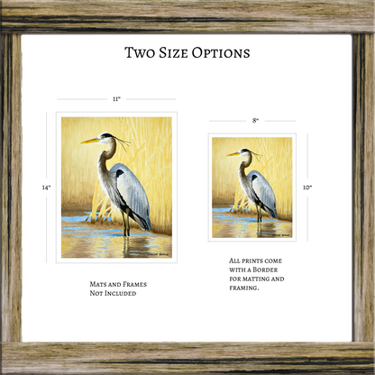 Great Blue Heron Watercolor Print, Nature Wildlife Landscape, Original Art Print, Coastal Wall Decor, Beach Painting Gift, Shorebird Art