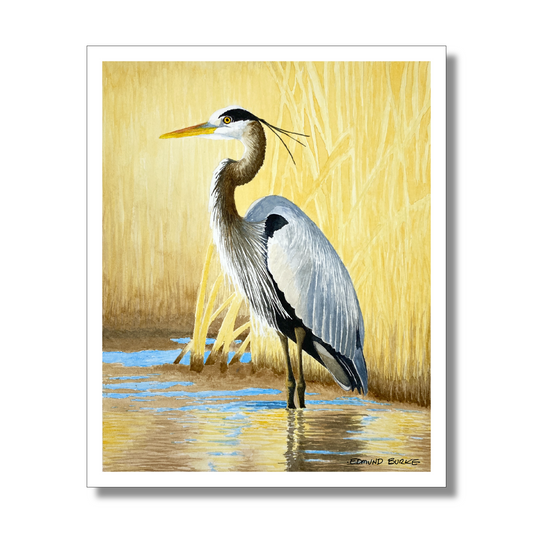 Great Blue Heron Watercolor Print, Nature Wildlife Landscape, Original Art Print, Coastal Wall Decor, Beach Painting Gift, Shorebird Art