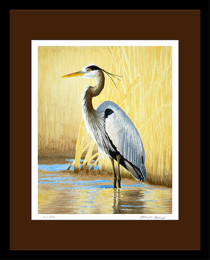 Great Blue Heron Watercolor Print, Nature Wildlife Landscape, Limited Edition Print, Coastal Wall Decor, Beach Painting Gift, Shorebird Art