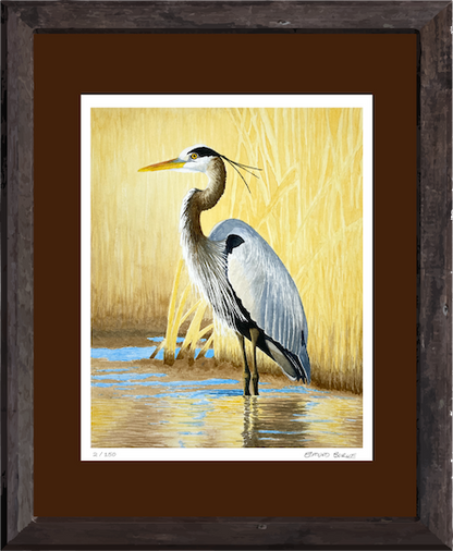 Great Blue Heron Watercolor Print, Nature Wildlife Landscape, Limited Edition Print, Coastal Wall Decor, Beach Painting Gift, Shorebird Art