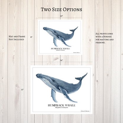 Humpback Whale Original Watercolor Print, Nautical Coastal Wall Art, Whale Lover Gift, Beach House Décor, Whale Painting, Ocean Wildlife Art