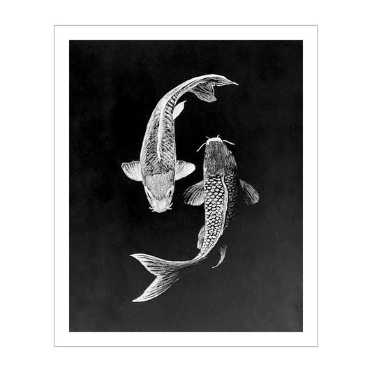 Archival Print Colored Pencil Drawing of Koi Fish – White Koi on Black Background – Fine Art Illustration – Zen Water Garden Art