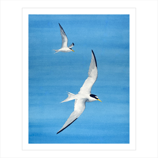 Shorebirds Watercolor Print, Nature Wildlife Landscape, Limited Edition Print, Coastal Wall Decor, Beach Painting Gift, Shorebird Art