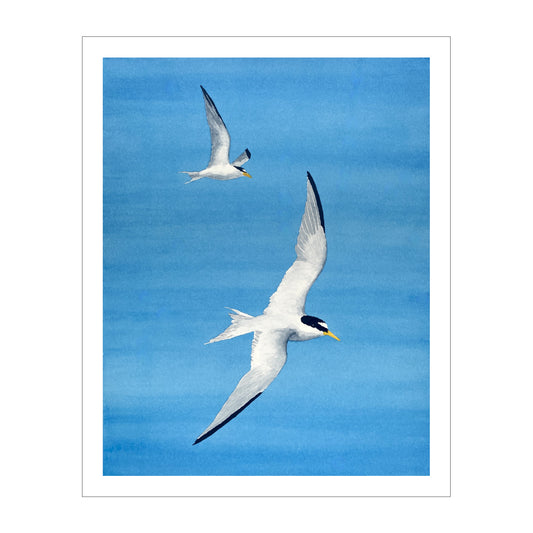 Shorebirds Watercolor Print, Nature Wildlife Landscape, Limited Edition Print, Coastal Wall Decor, Beach Painting Gift, Shorebird Art