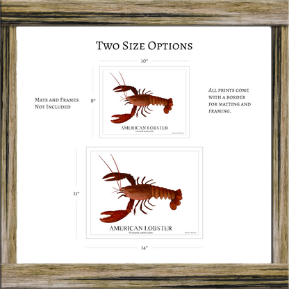 American Lobster Original Watercolor Print  – Nautical Coastal Wall Art, Fishermen Gift, Beach House Art, Ocean Life Art