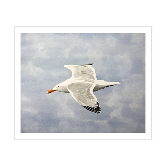 Seagull Watercolor Print – Limited Edition Shorebird Art – Coastal Bird Wall Decor – Beach Wildlife Painting – Nature Lover Gift