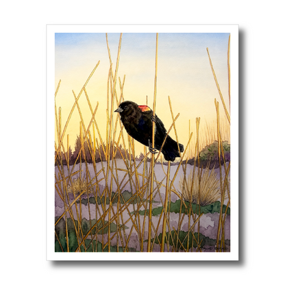 Red Winged Black Bird Original Artwork, East Coast Landscape Print, Limited Edition Watercolor,Coastal Wall Decor, Beach House Decor Gift