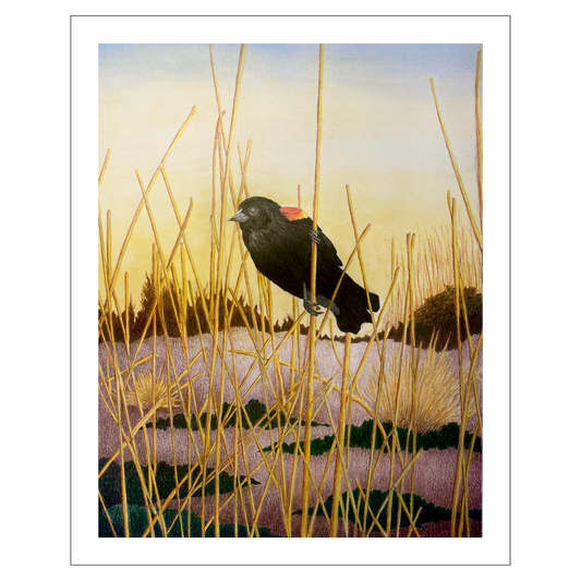 Red Winged Black Bird Original Artwork, East Coast Landscape Print, Limited Edition Watercolor,Coastal Wall Decor, Beach House Decor Gift