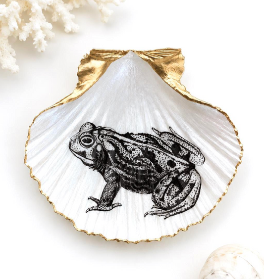 Frog Scallop Shell Trinket Dish, Frog Lover Gift, Gold Rim Ring Dish, Nature-Inspired Jewelry Holder, Cottagecore Coastal Decor