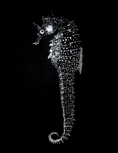 Vintage Seahorse Art Print – White Seahorse on Black – Nautical Illustration – Coastal & Modern Wall Art