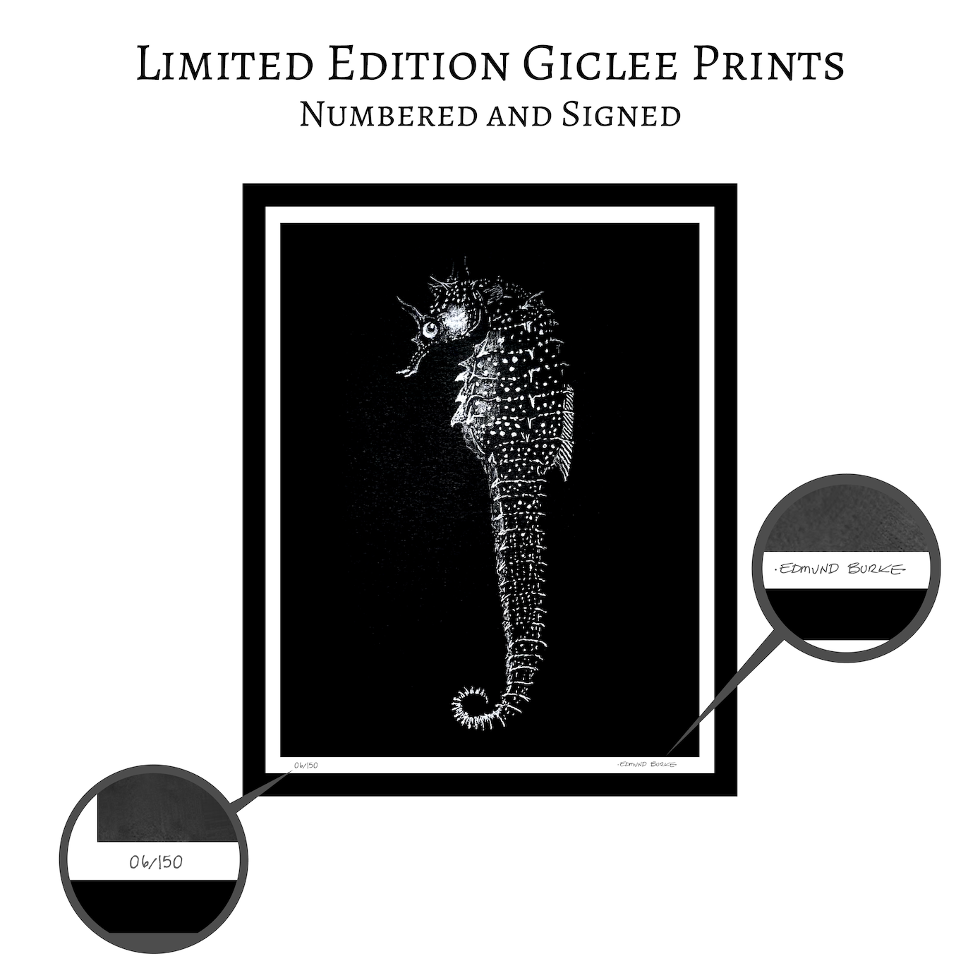 Vintage Seahorse Art Print – White Seahorse on Black – Nautical Illustration – Coastal & Modern Wall Art