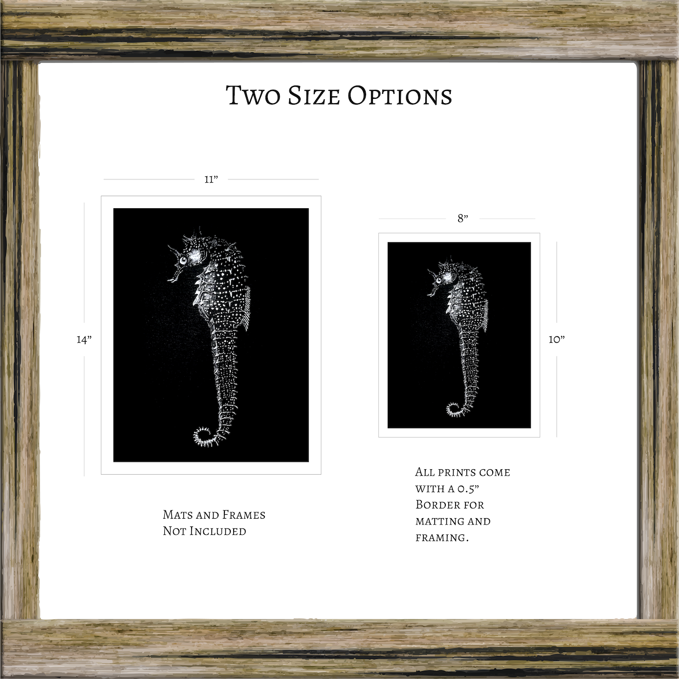 Vintage Seahorse Art Print – White Seahorse on Black – Nautical Illustration – Coastal & Modern Wall Art
