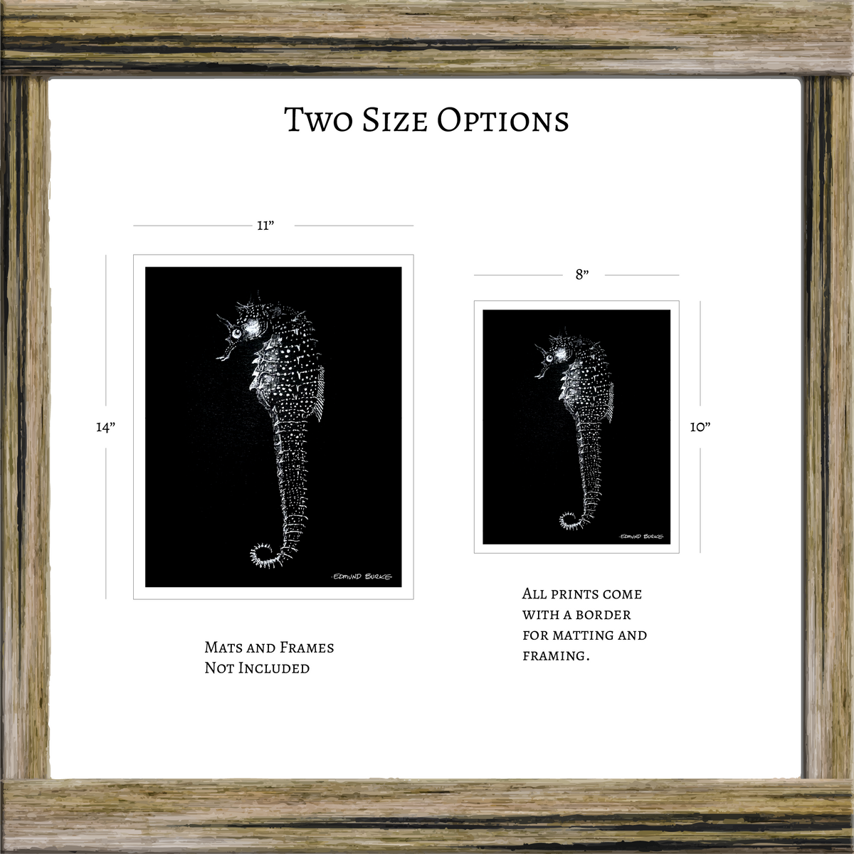 Vintage Seahorse Art Print – White Seahorse on Black – Nautical Illustration – Coastal & Modern Wall Art