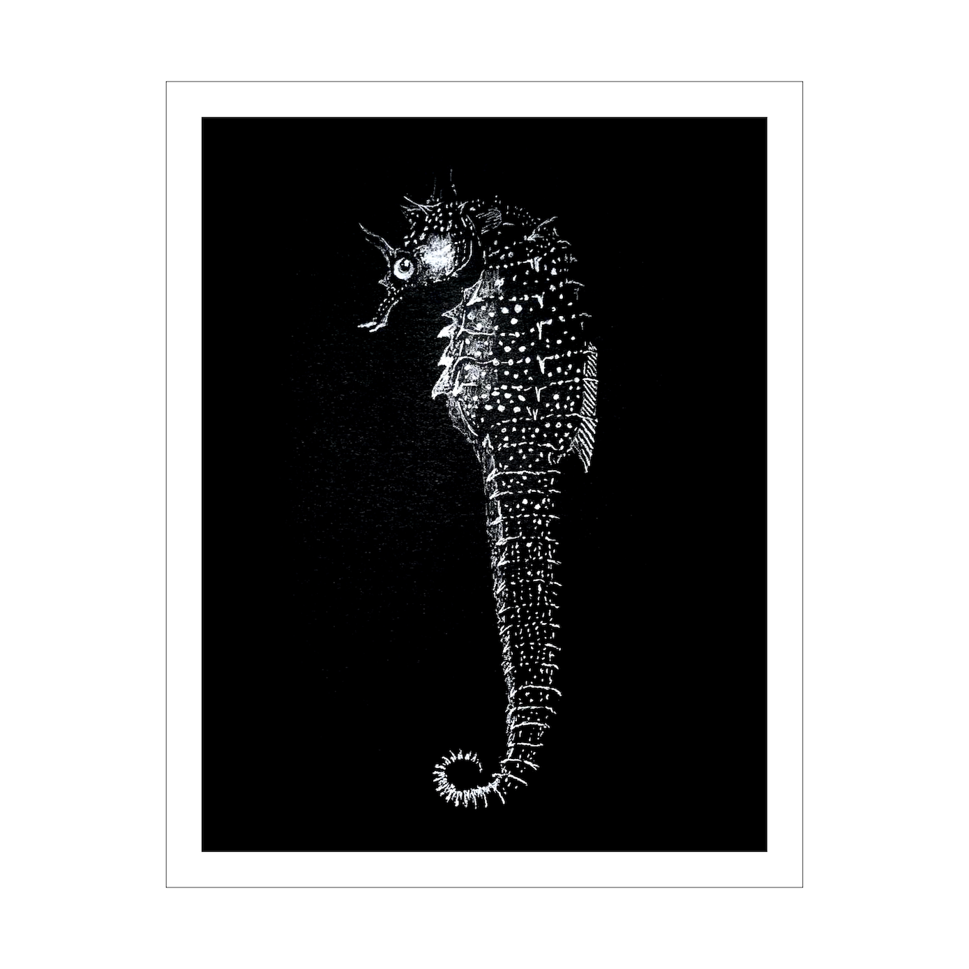 Vintage Seahorse Art Print – White Seahorse on Black – Nautical Illustration – Coastal & Modern Wall Art
