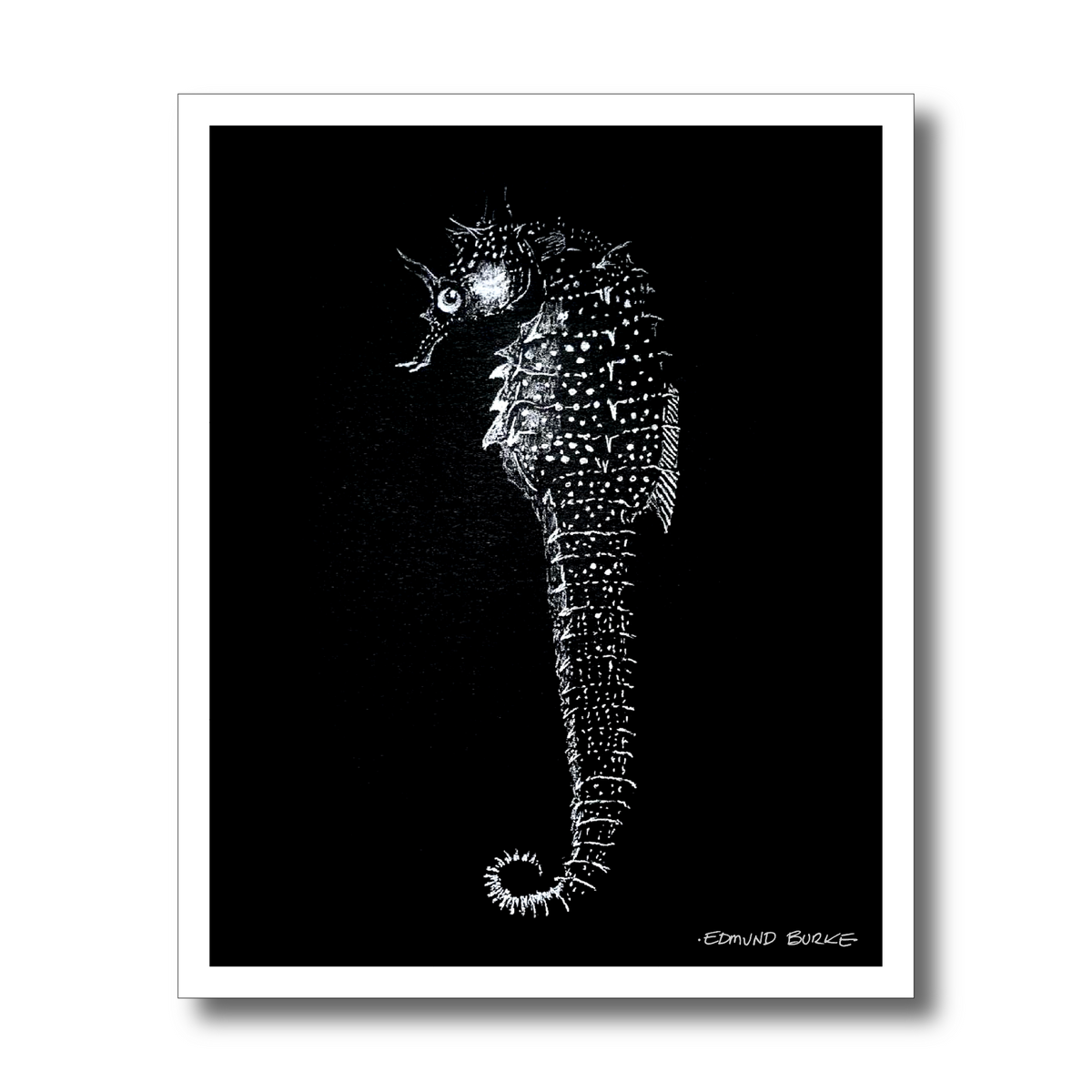 Vintage Seahorse Art Print – White Seahorse on Black – Nautical Illustration – Coastal & Modern Wall Art