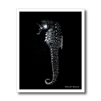 Vintage Seahorse Art Print – White Seahorse on Black – Nautical Illustration – Coastal & Modern Wall Art