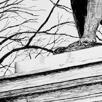 Prospect Park Print, NYC Wall Art, Panther Statue Winter Scene, Black &White Drawing, Winter New York Landmark, New Yorker Gift