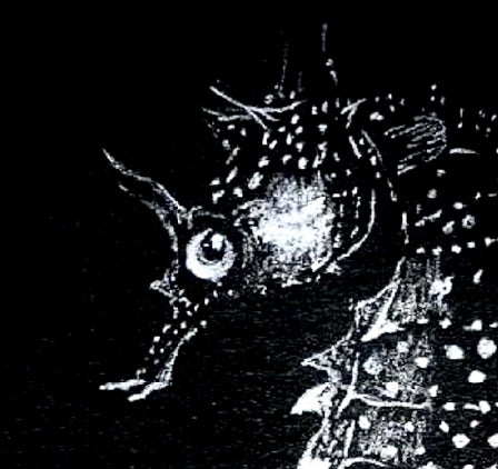 Vintage Seahorse Art Print – White Seahorse on Black – Nautical Illustration – Coastal & Modern Wall Art