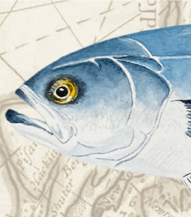 Bluefish Original Watercolor Print Over Vintage Long Island Map – Nautical Coastal Wall Art, Fishermen Angler Gift, NY Beach House Décor