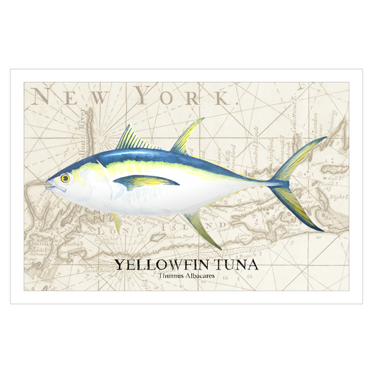 Yellowfin Tuna Watercolor Print Over Vintage Long Island Map – Nautical Coastal Wall Art, Fishermen Angler Gift, NY Beach House Décor