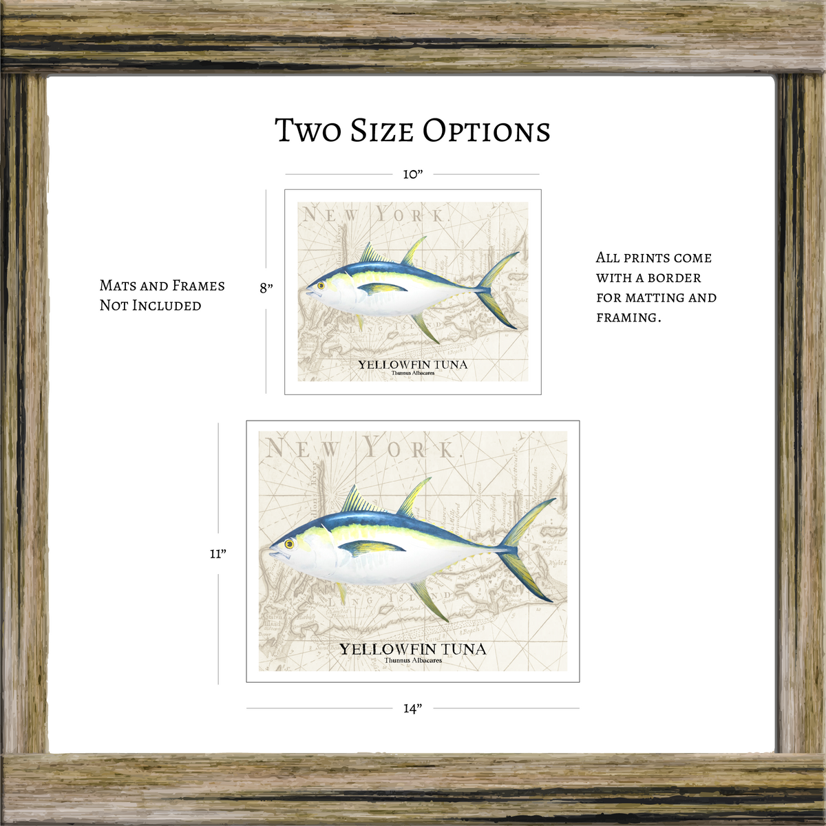 Yellowfin Tuna Watercolor Print Over Vintage Long Island Map – Nautical Coastal Wall Art, Fishermen Angler Gift, NY Beach House Décor