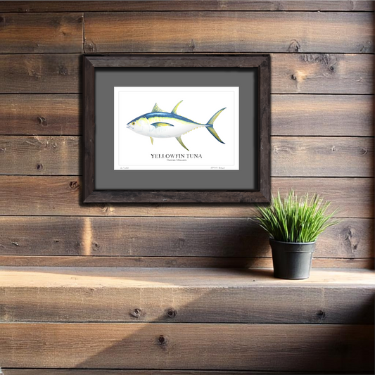 Yellowfin Tuna Original Watercolor Print – Nautical Coastal Wall Art,Fishermen Angler Gift, Beach House Art, East Coast Sport Fishing Art