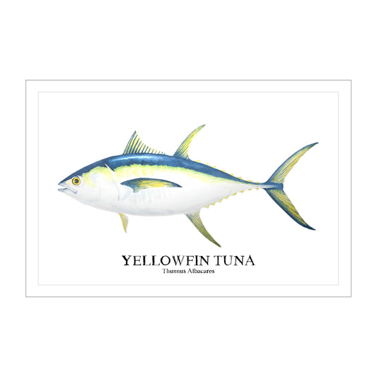Yellowfin Tuna Original Watercolor Print – Nautical Coastal Wall Art,Fishermen Angler Gift, Beach House Art, East Coast Sport Fishing Art