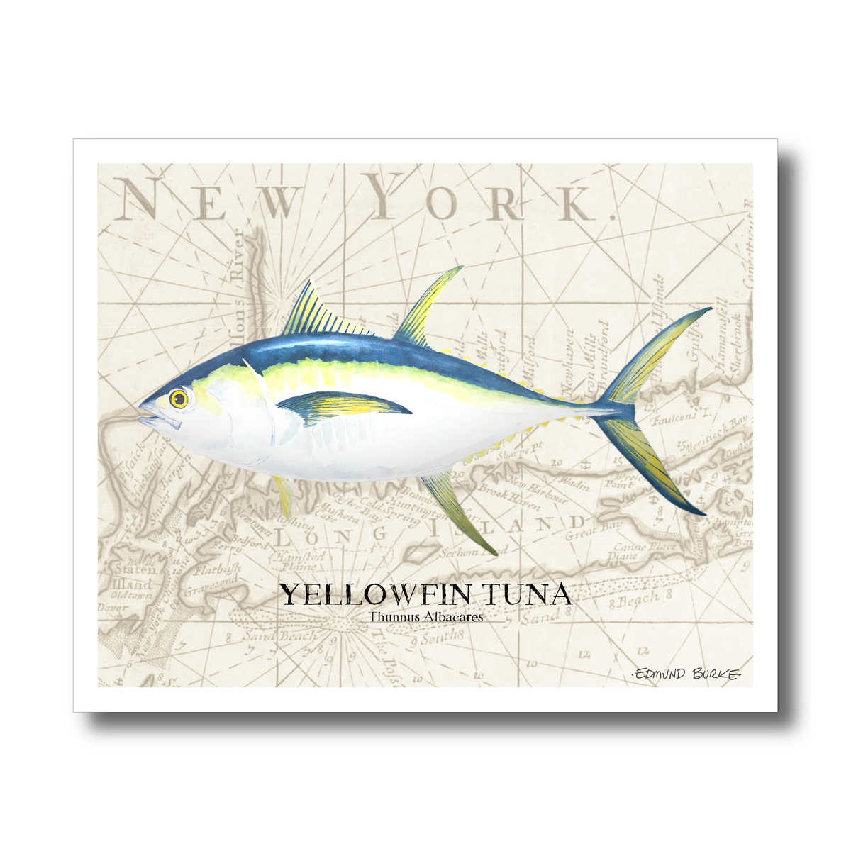 Yellowfin Tuna Watercolor Print Over Vintage Long Island Map – Nautical Coastal Wall Art, Fishermen Angler Gift, NY Beach House Décor
