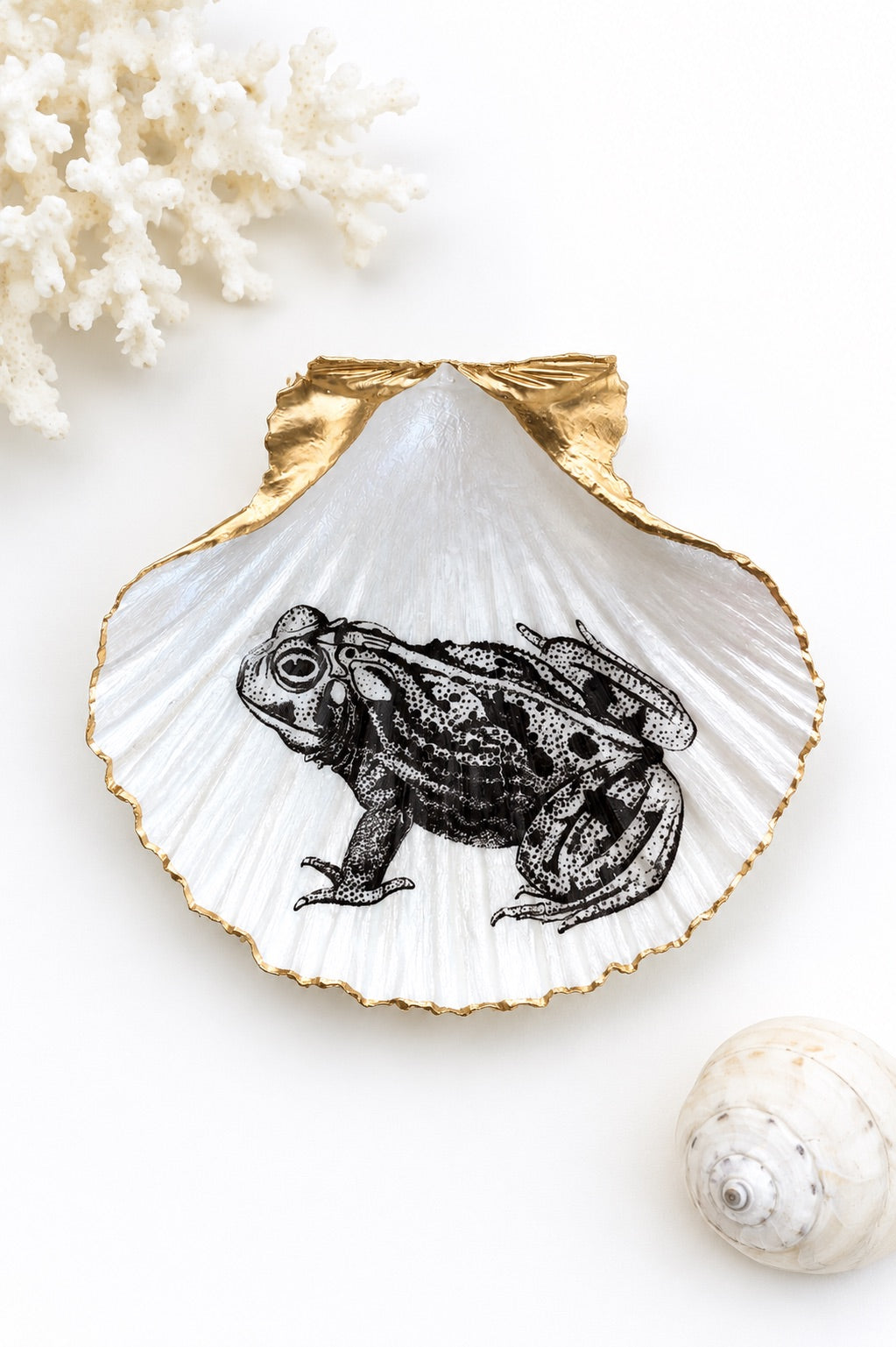 Decoupage Scallop Shell Trinket Dish Vintage Frog Art