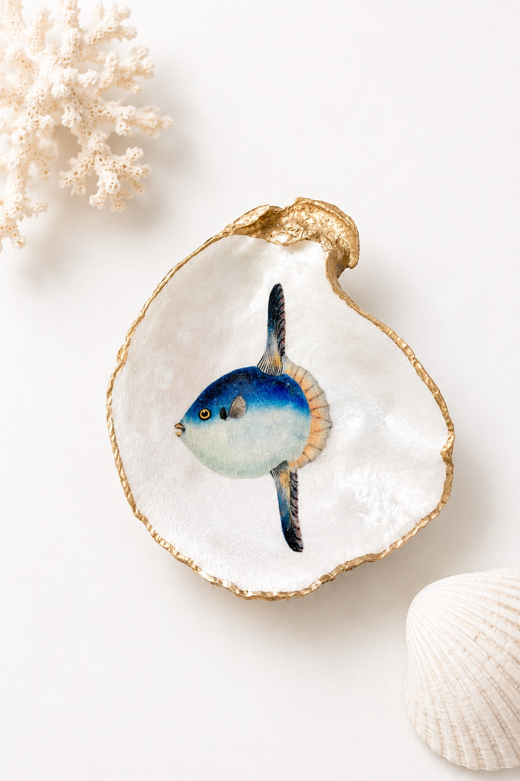 Decoupage Oyster Shell Sunfish Art
