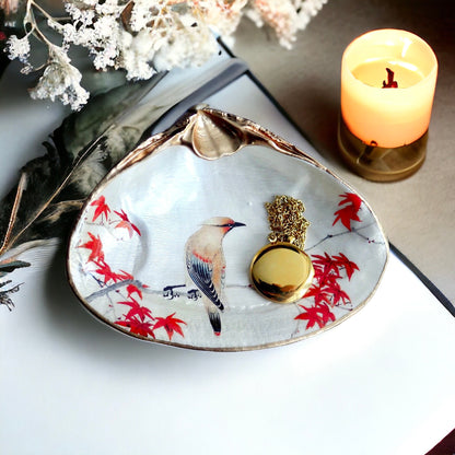 Cedar Waxwing Bird Decoupage Clam Shell Ring Dish