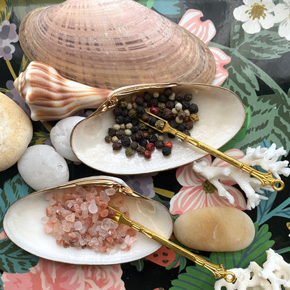 Handcrafted Clam Shell Salt and Pepper Dishes – Beach House Table Decor