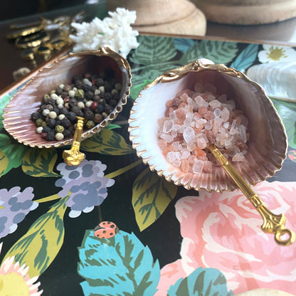 Handcrafted Clam Shell Salt and Pepper Dishes – Beach House Table Decor