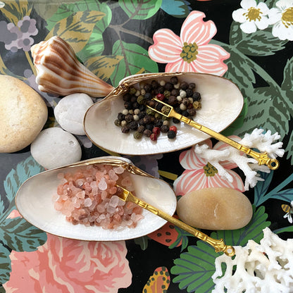 Handcrafted Clam Shell Salt and Pepper Dishes – Beach House Table Decor