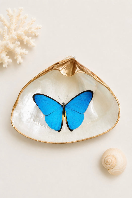 Blue Morpho Butterfly Decoupage Clam Shell Trinket Dish