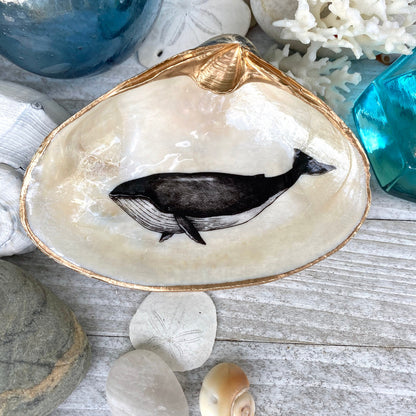 Decoupage Whale Art Clam Shell Trinket Dish