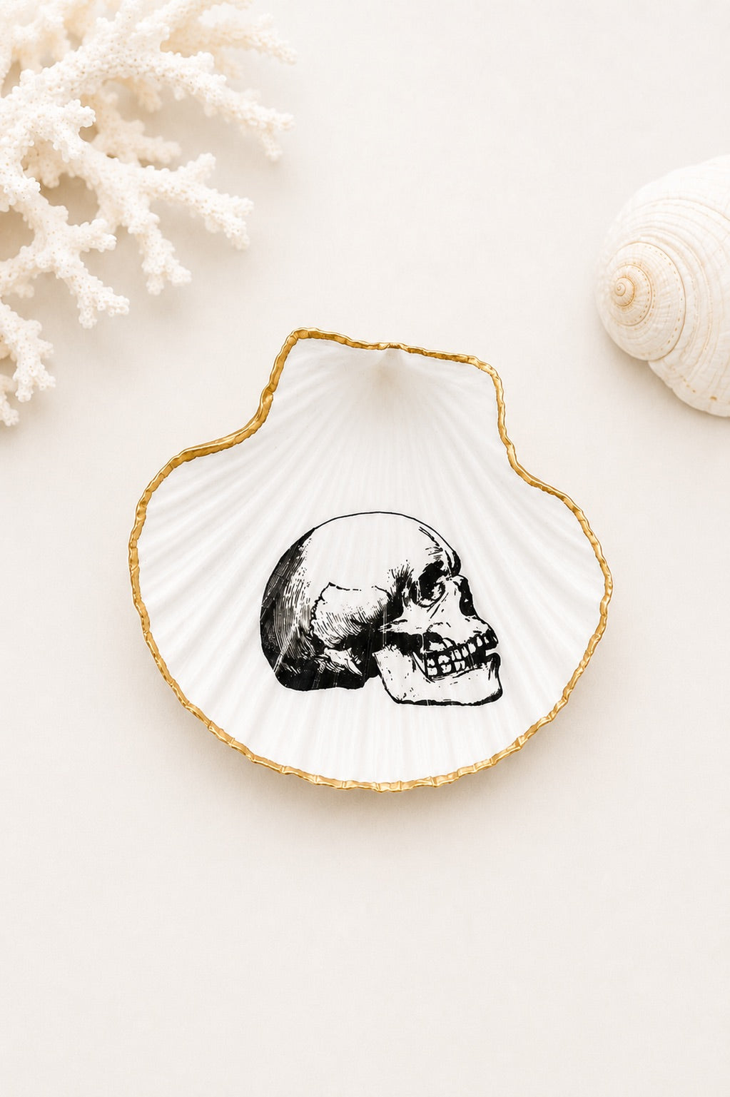Decoupage Scallop Shell Trinket Dish Skull Art